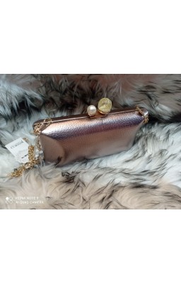 Pochette bronzo con...