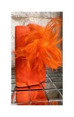 Pochette "ORANGE" con...